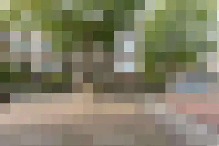 Willem Barentszweg 42 Hilversum thumbnail 23