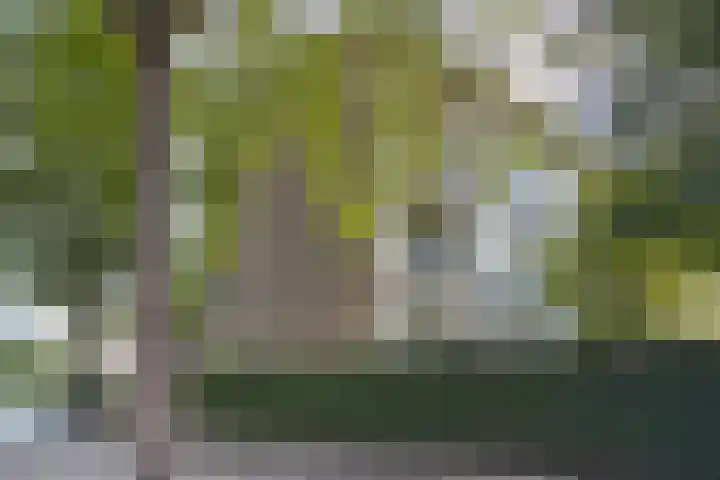 Willem Barentszweg 42 Hilversum thumbnail 24
