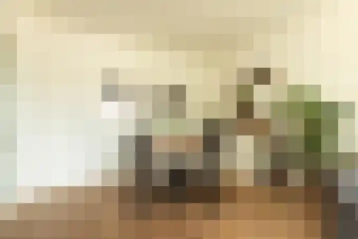 Willem Barentszweg 42 Hilversum thumbnail 6