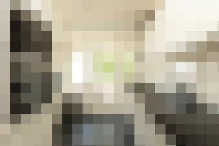 Willem Barentszweg 42 Hilversum thumbnail 9