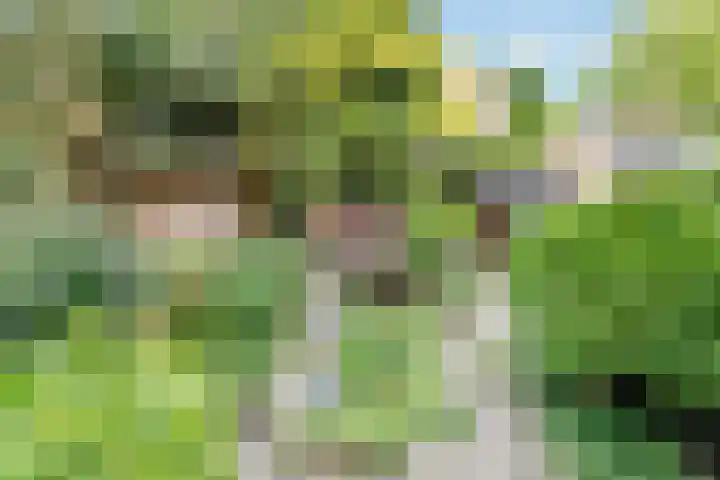 Willem Barentszweg 46 Hilversum thumbnail 13