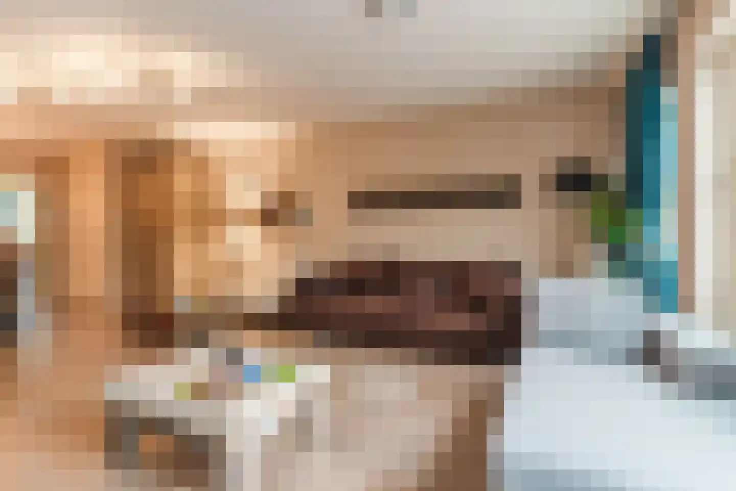 Willem Barentszweg 63 Geldrop thumbnail 12
