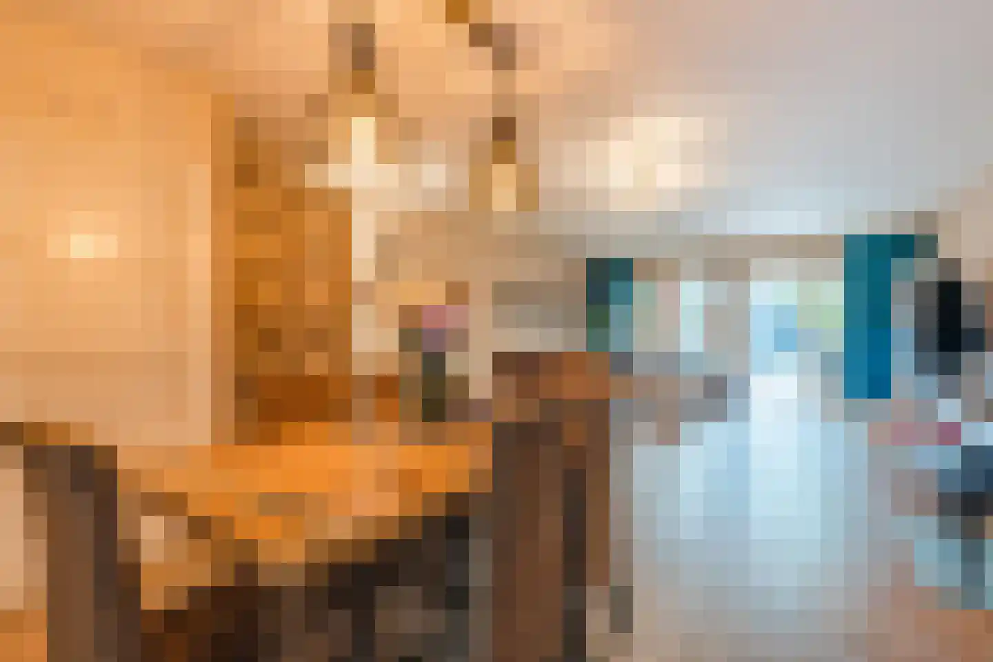 Willem Barentszweg 63 Geldrop thumbnail 18