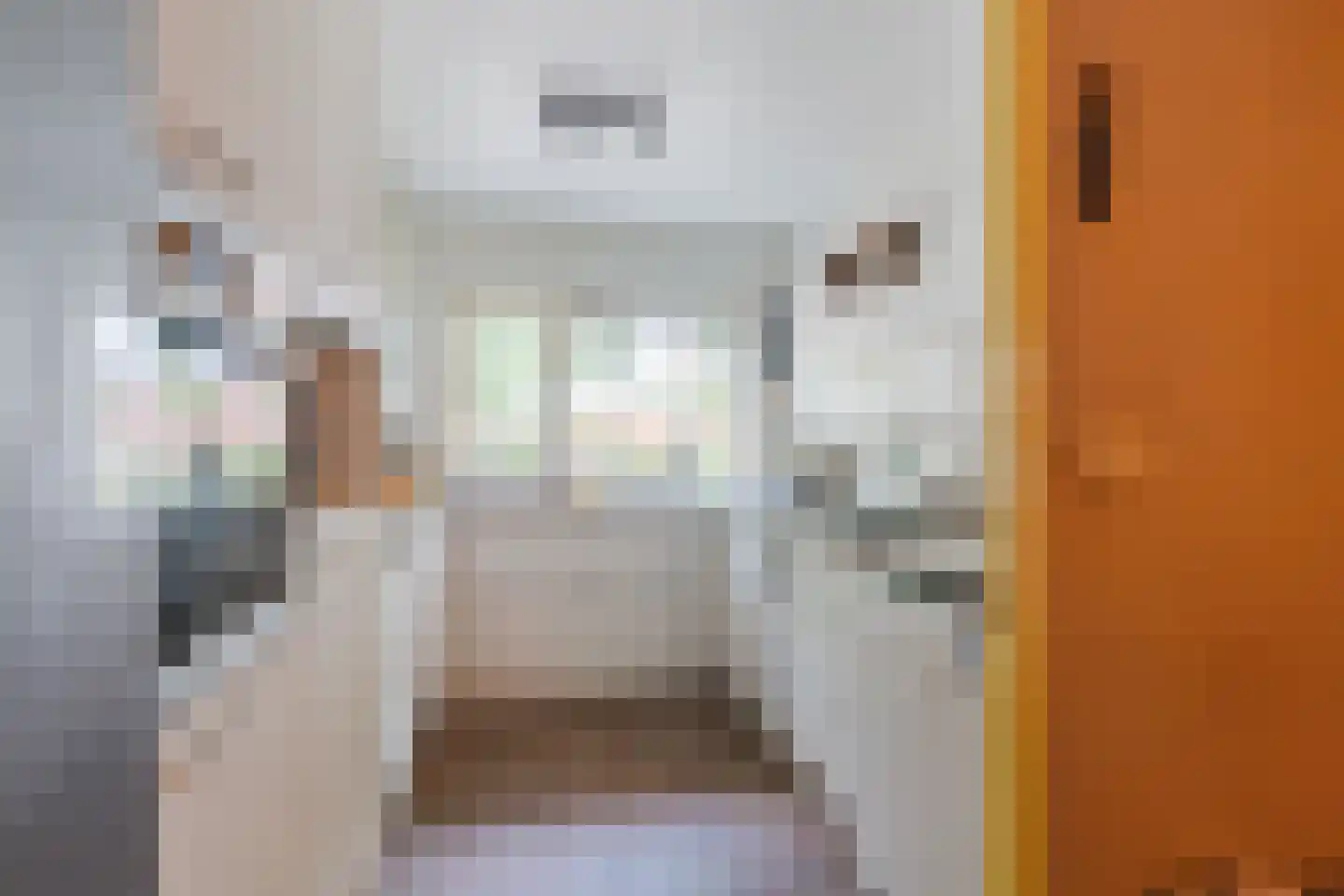 Willem Barentszweg 63 Geldrop thumbnail 19
