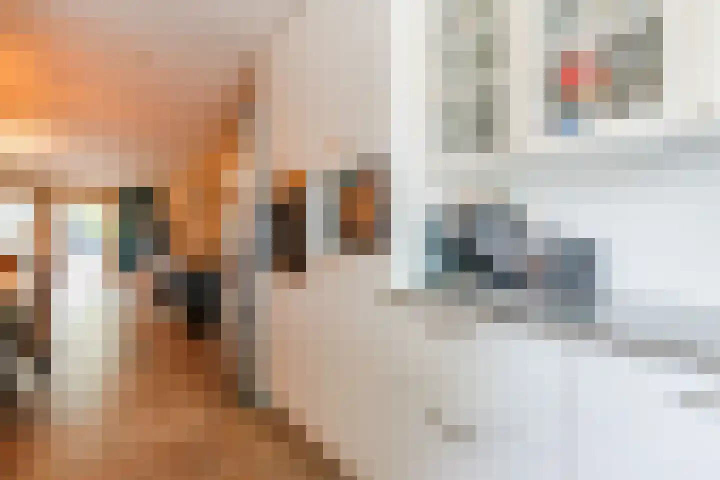 Willem Barentszweg 63 Geldrop thumbnail 22