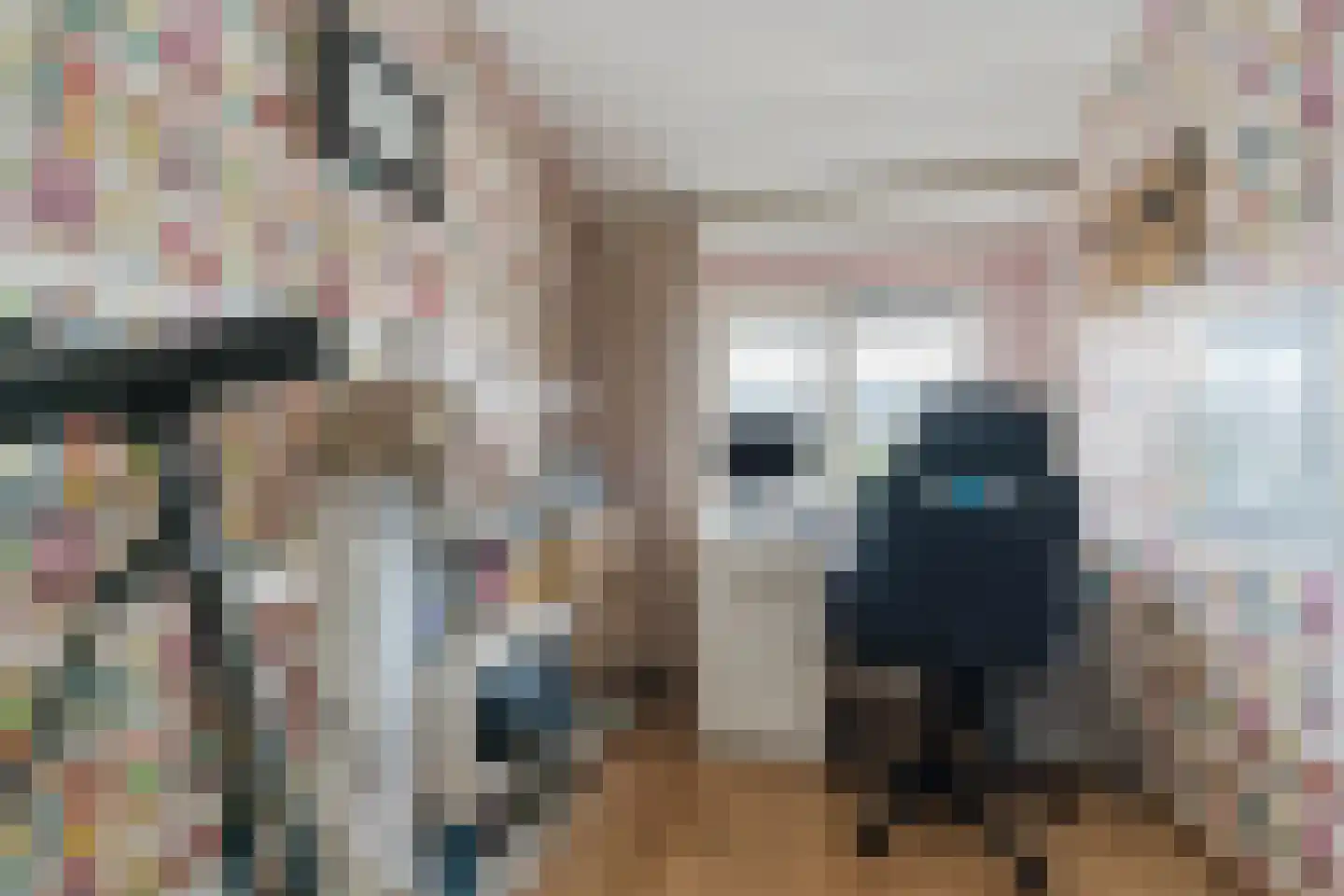 Willem Barentszweg 63 Geldrop thumbnail 30