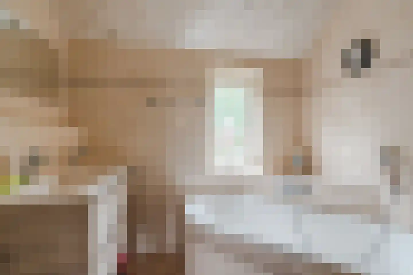 Willem Barentszweg 63 Geldrop thumbnail 36
