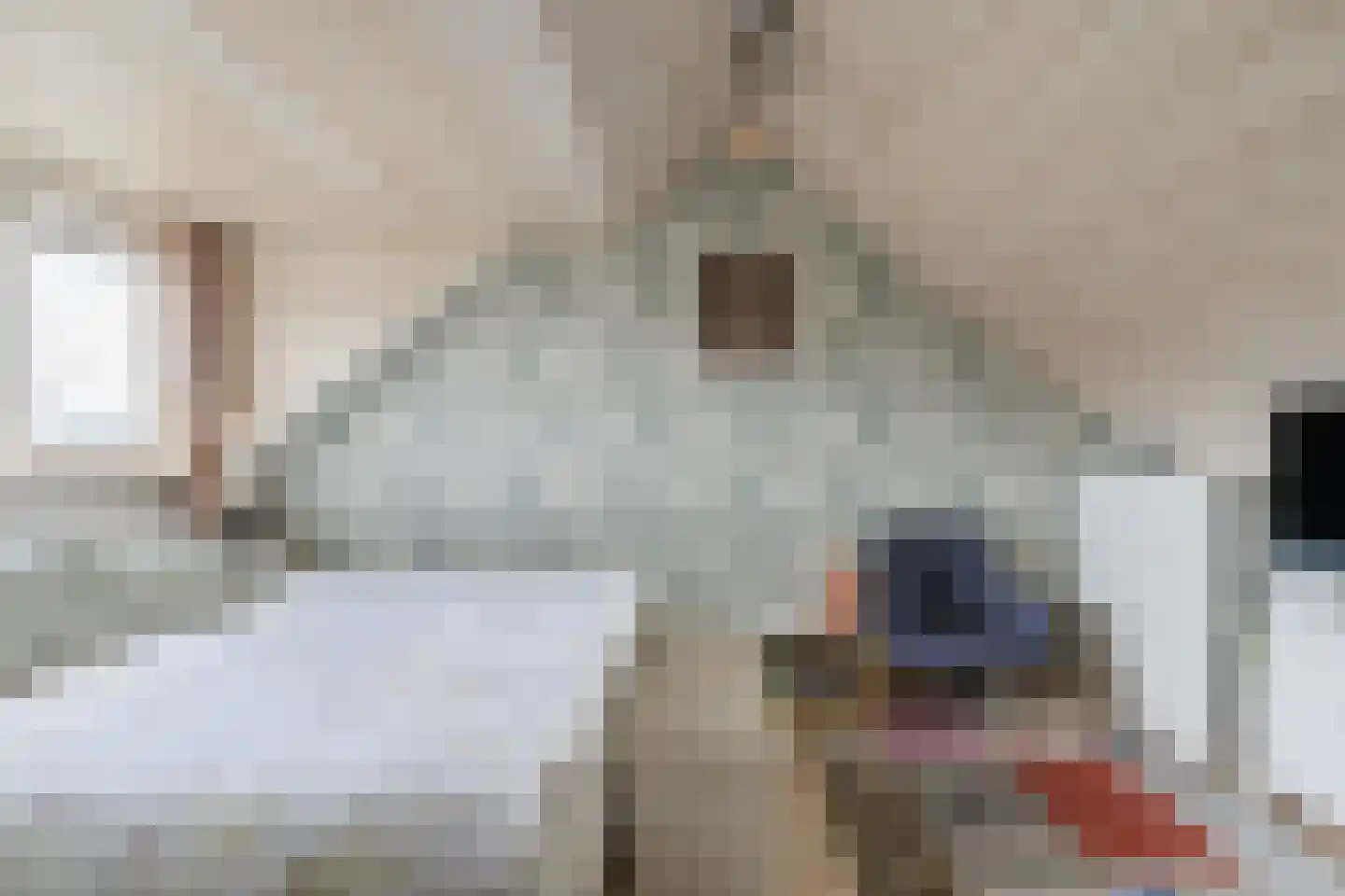 Willem Barentszweg 63 Geldrop thumbnail 39