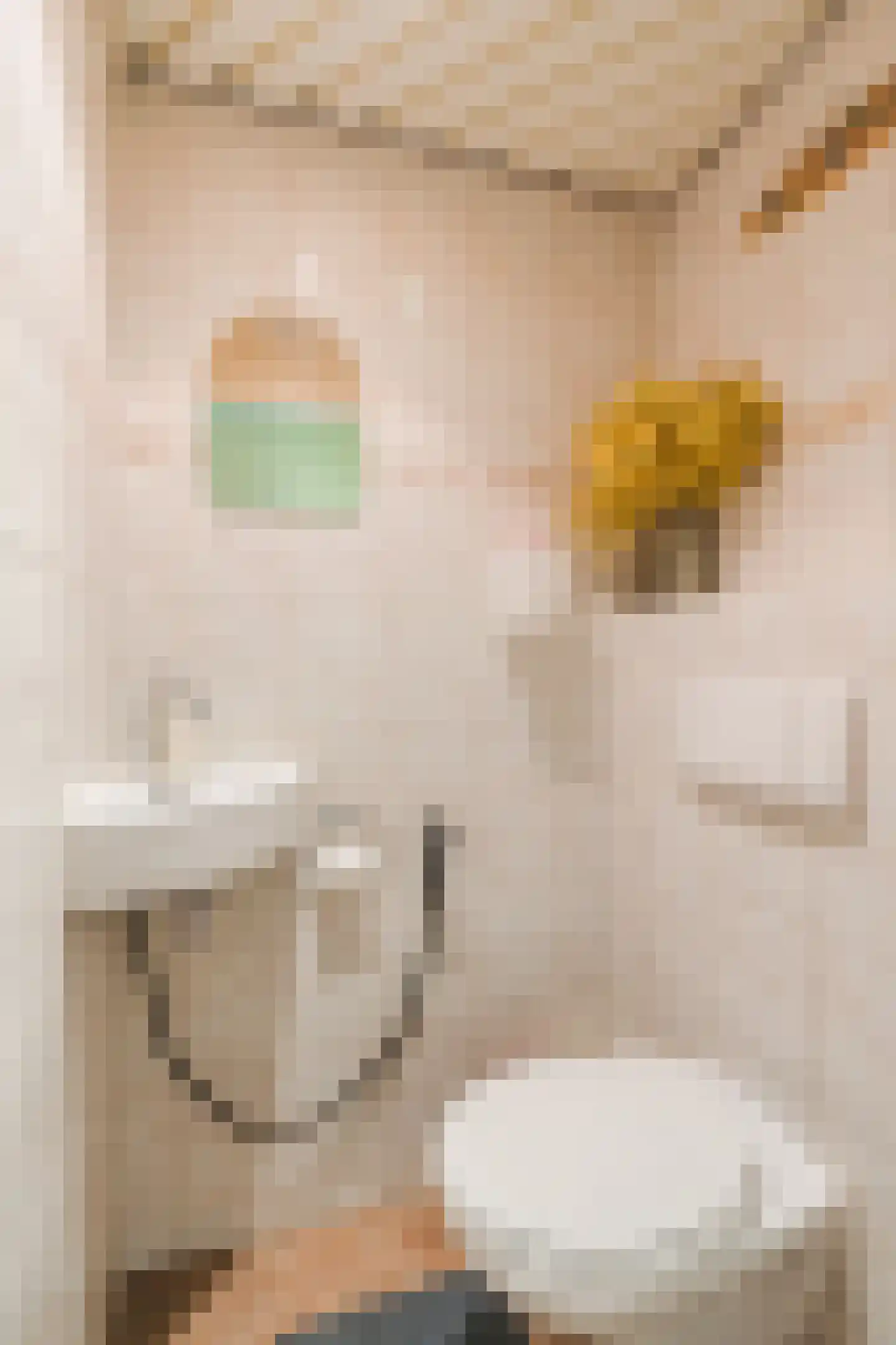 Willem Barentszweg 63 Geldrop thumbnail 8