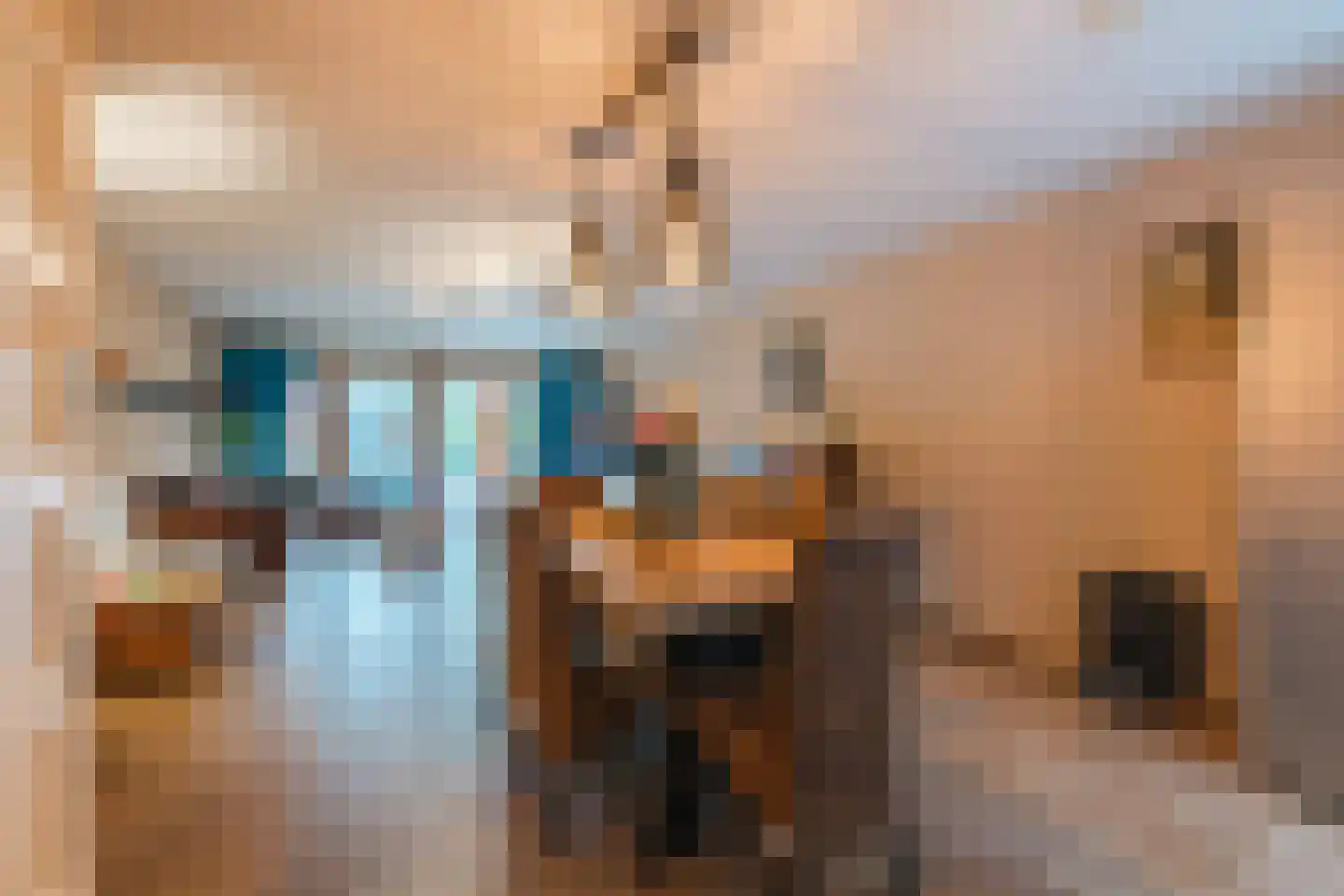 Willem Barentszweg 63 Geldrop thumbnail 9