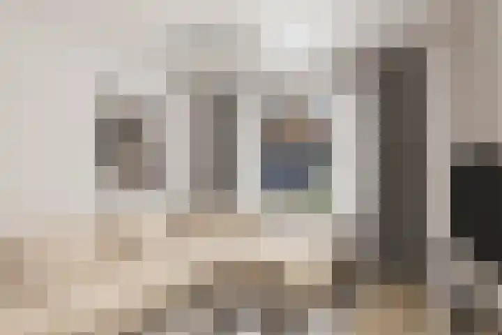Willem Barentzstraat 24 Eindhoven thumbnail 10