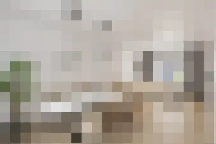 Willem Barentzstraat 24 Eindhoven thumbnail 11