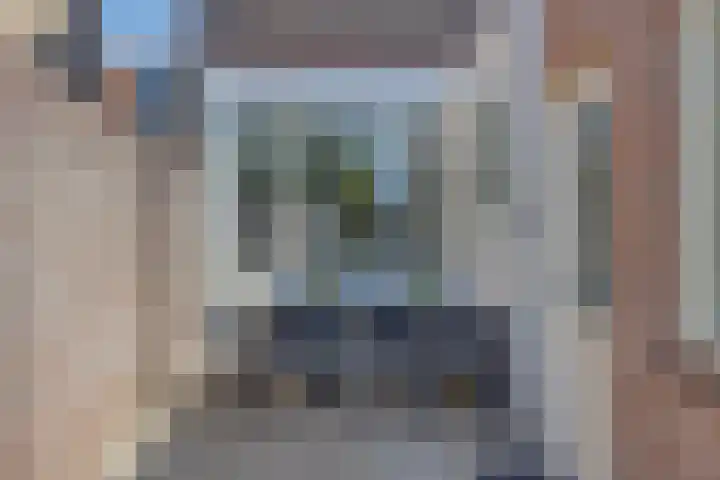 Willem Barentzstraat 24 Eindhoven thumbnail 5