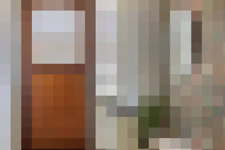 Willem Barentzstraat 24 Eindhoven thumbnail 7