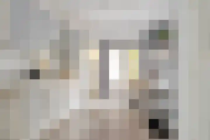 Willem Barentzstraat 8 Groningen thumbnail 11