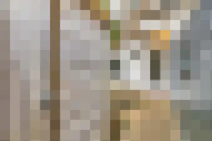 Willem Barentzstraat 8 Groningen thumbnail 30