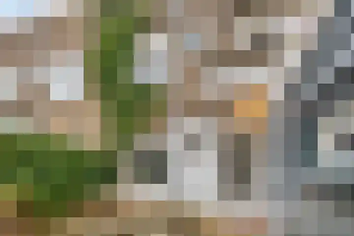 Willem Barentzstraat 8 Groningen thumbnail 31