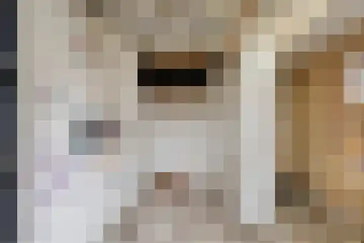 Willem Barentzstraat 8 Groningen thumbnail 32