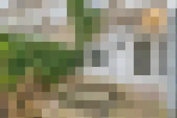 Willem Barentzstraat 8 Groningen thumbnail 4