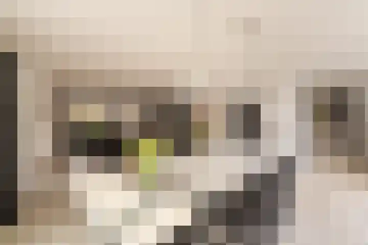 Willem Barthoenstraat 20 Voorhout thumbnail 9
