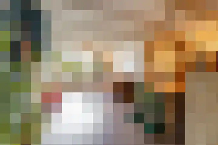 Willem Bergstraat 24 Sappemeer thumbnail 16