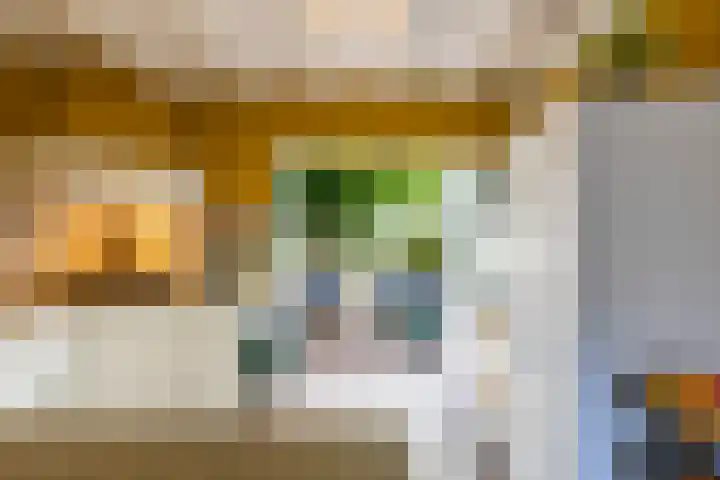 Willem Bergstraat 24 Sappemeer thumbnail 18