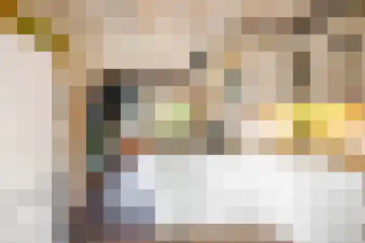 Willem Bergstraat 24 Sappemeer thumbnail 21