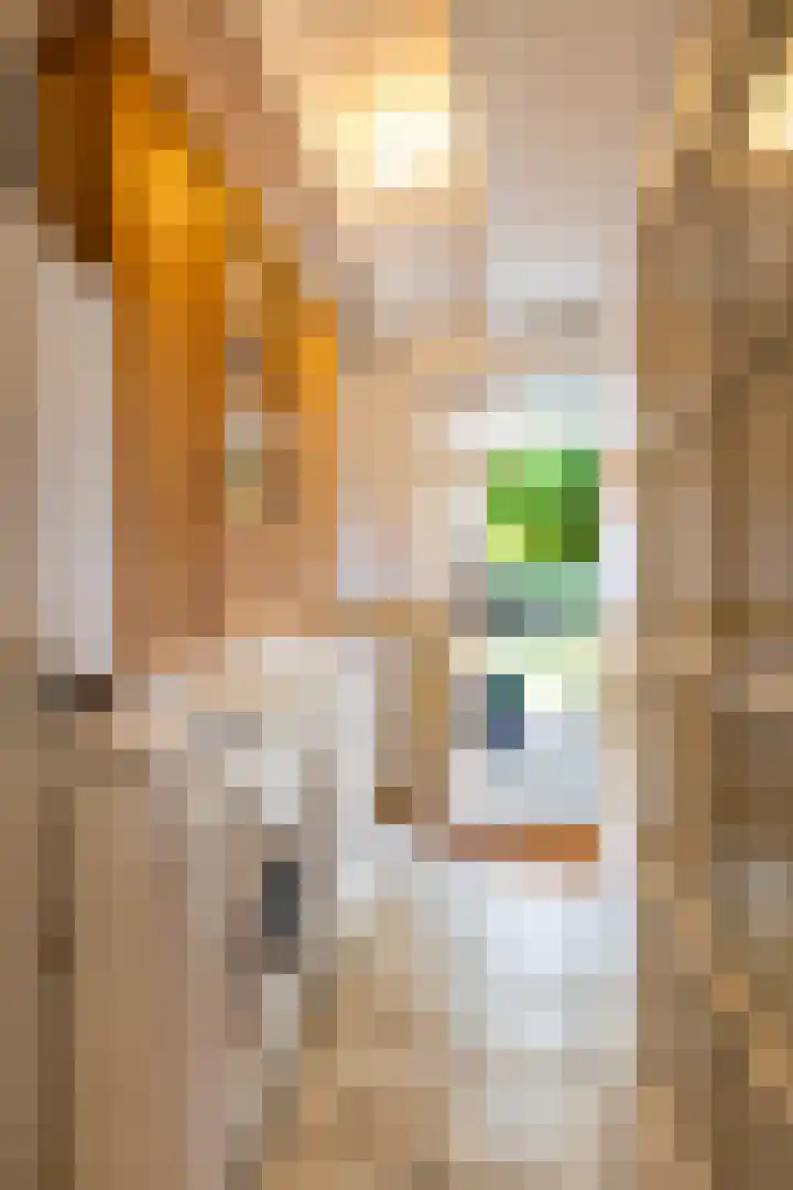 Willem Bergstraat 24 Sappemeer thumbnail 25