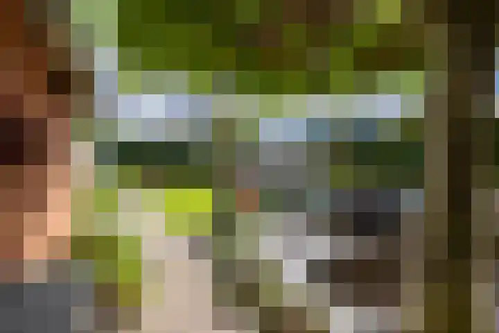 Willem Bergstraat 24 Sappemeer thumbnail 29