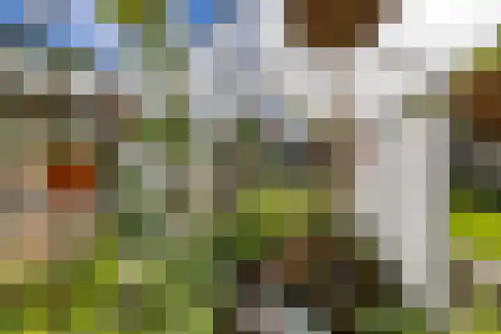 Willem Bergstraat 24 Sappemeer thumbnail 32