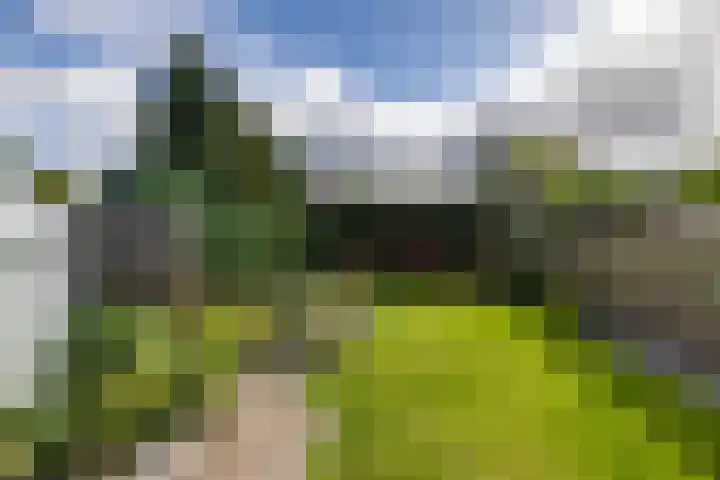 Willem Bergstraat 24 Sappemeer thumbnail 33
