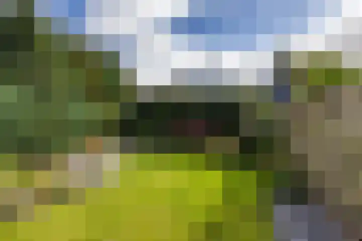 Willem Bergstraat 24 Sappemeer thumbnail 34