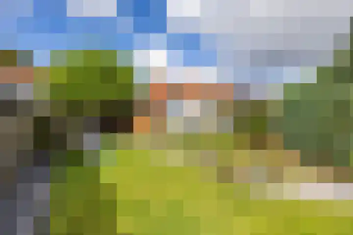 Willem Bergstraat 24 Sappemeer thumbnail 36
