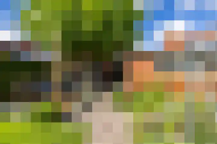 Willem Bergstraat 24 Sappemeer thumbnail 38