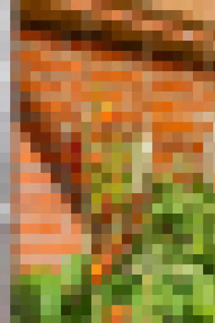 Willem Bergstraat 24 Sappemeer thumbnail 39