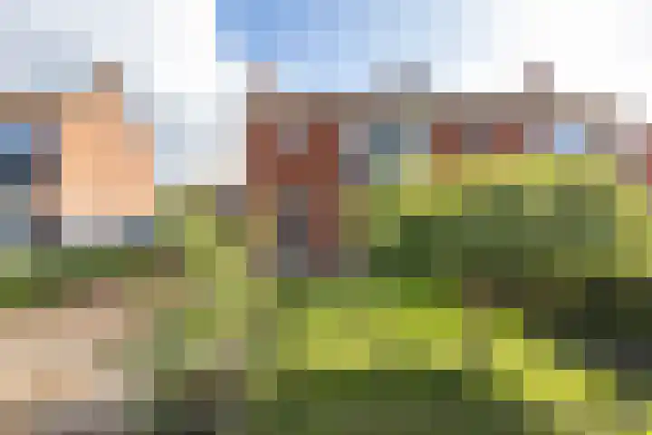 Willem Bergstraat 24 Sappemeer thumbnail 4