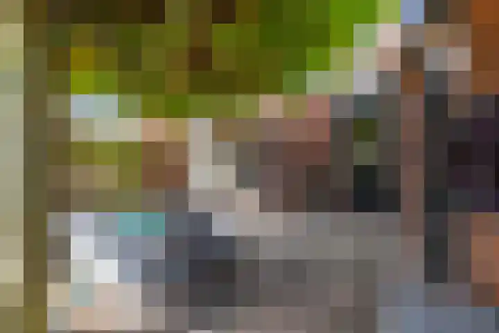 Willem Bergstraat 24 Sappemeer thumbnail 41