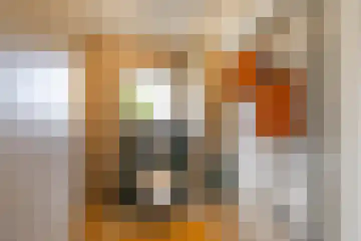 Willem Bergstraat 24 Sappemeer thumbnail 52