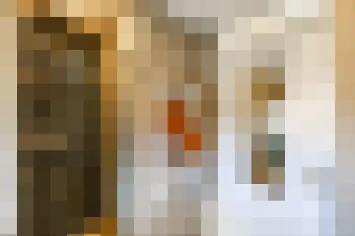 Willem Bergstraat 24 Sappemeer thumbnail 57