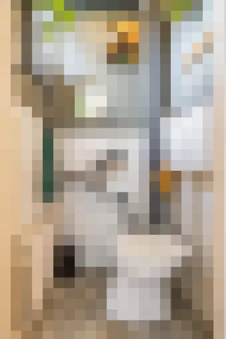 Willem Bergstraat 24 Sappemeer thumbnail 8