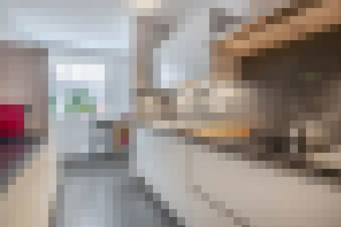 Willem Beringsstraat 6 Helmond thumbnail 20