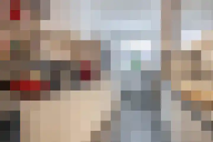 Willem Beringsstraat 6 Helmond thumbnail 22