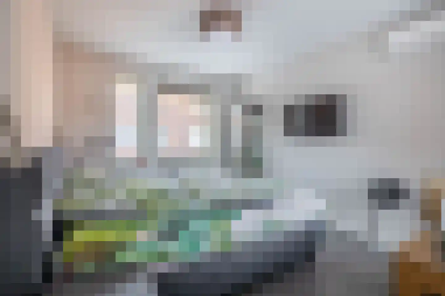 Willem Beringsstraat 6 Helmond thumbnail 24