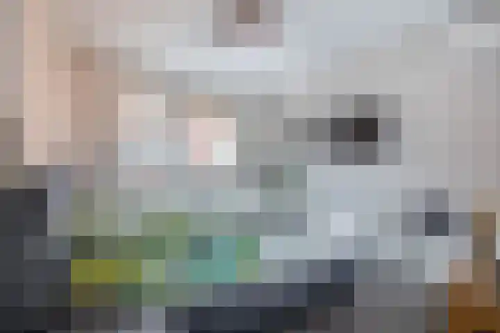 Willem Beringsstraat 6 Helmond thumbnail 25