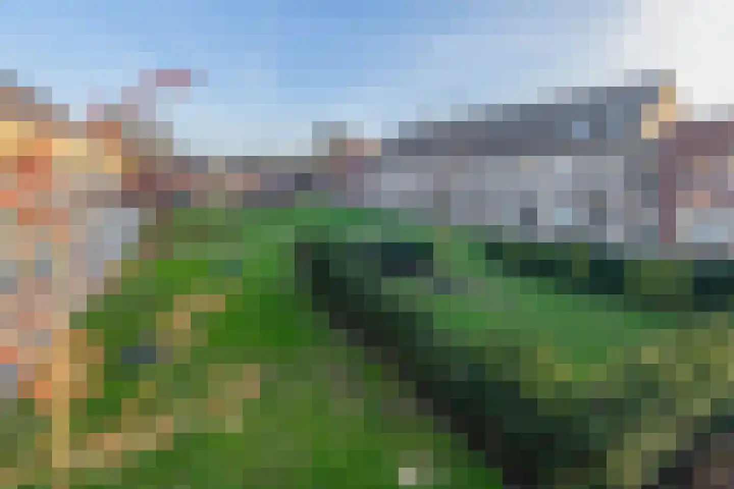 Willem Beringsstraat 6 Helmond thumbnail 40