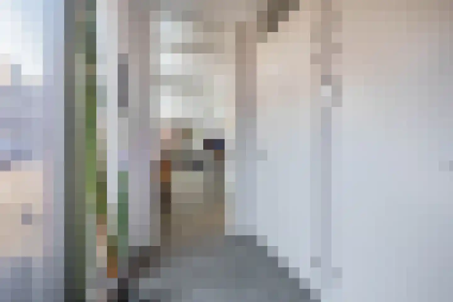 Willem Beringsstraat 6 Helmond thumbnail 9