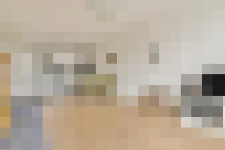 Willem Beukelsstraat 28 1 Amsterdam thumbnail 5