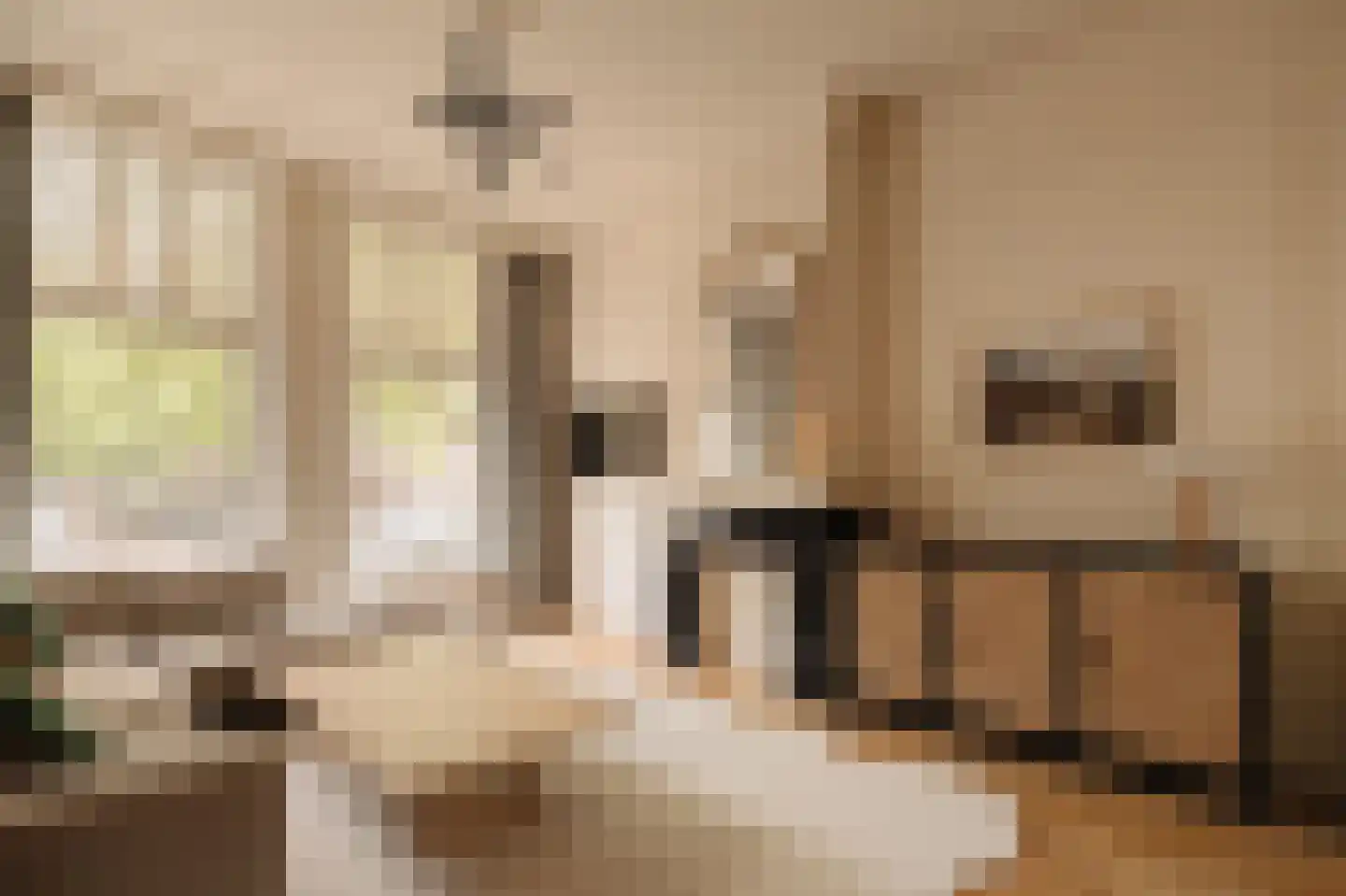 Willem Beukelsstraat 34 H Amsterdam thumbnail 7