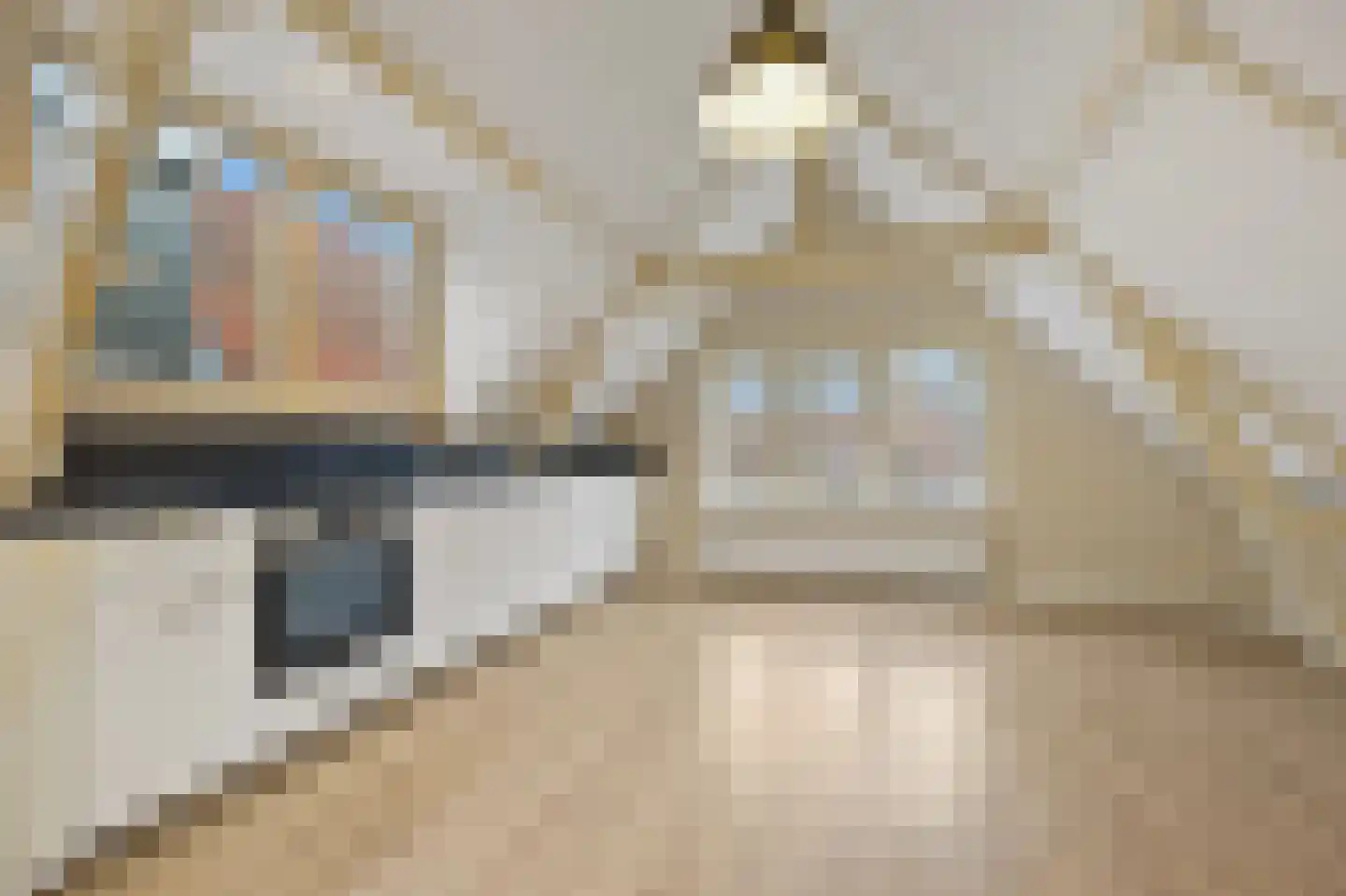 Willem Beukelszoonplein 19 Den Haag thumbnail 24