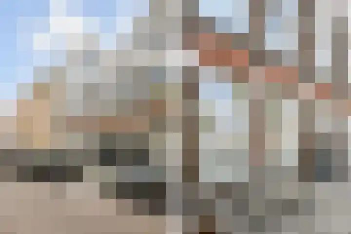 Willem Beukelszoonplein 21 Den Haag thumbnail 5